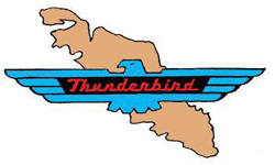 Island Vintage Thunderbird Club